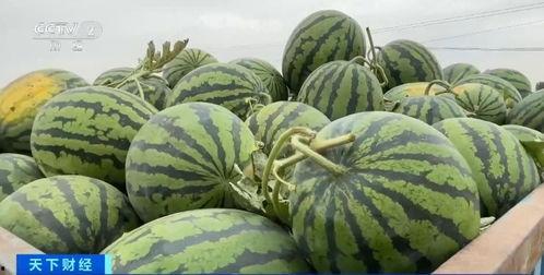 瓜瓜最新吃瓜爆料,揭秘娱乐圈惊天大瓜！  第2张