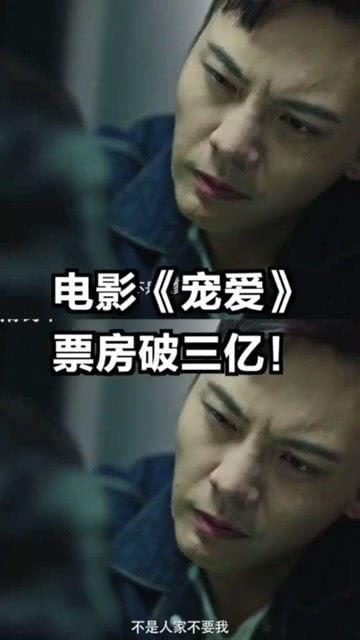 在线观看宠爱电影,温情治愈,宠物与主人间的感人故事 第2张 在线观看宠爱电影,温情治愈,宠物与主人间的感人故事 第2张